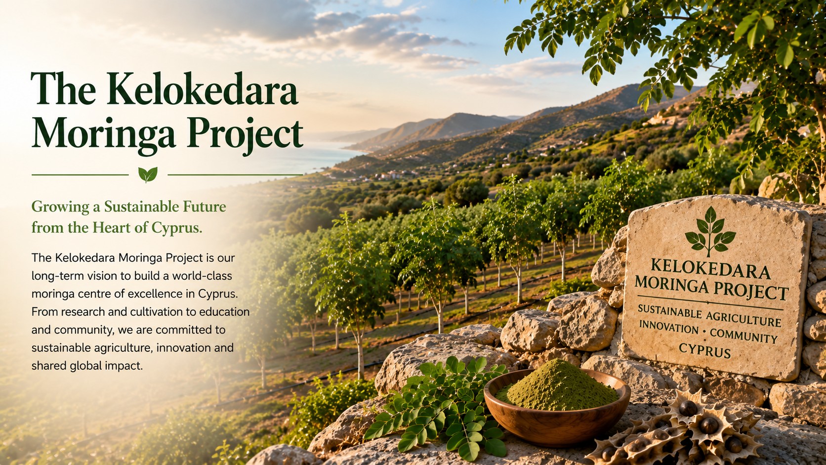 The Kelokedara Moringa Project